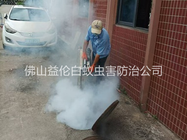 南庄环境蟑螂消杀工程
